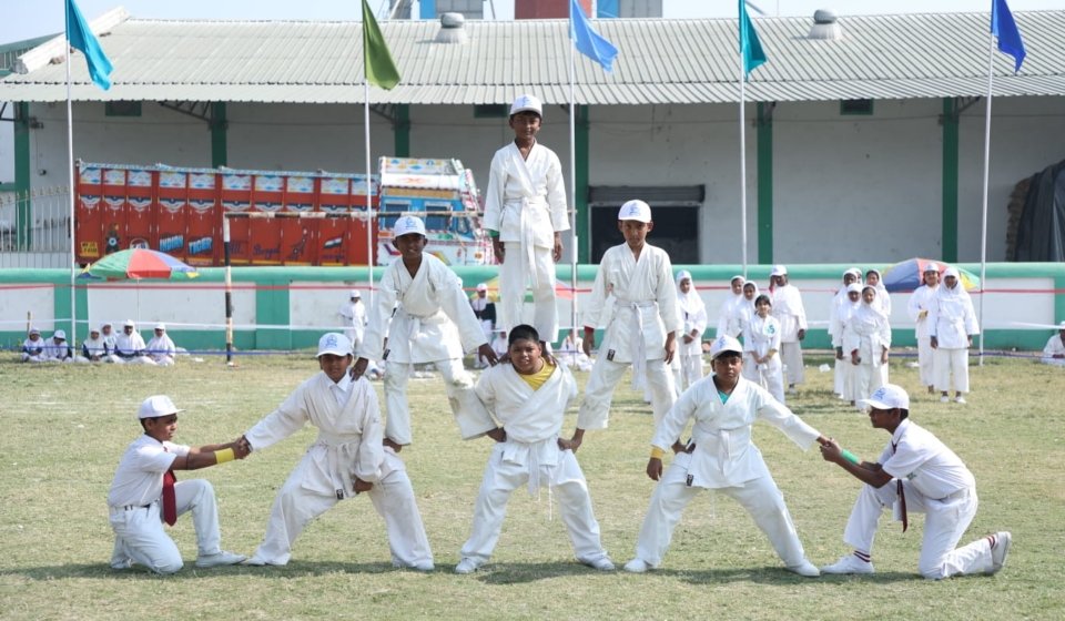 Activity curricular (1)