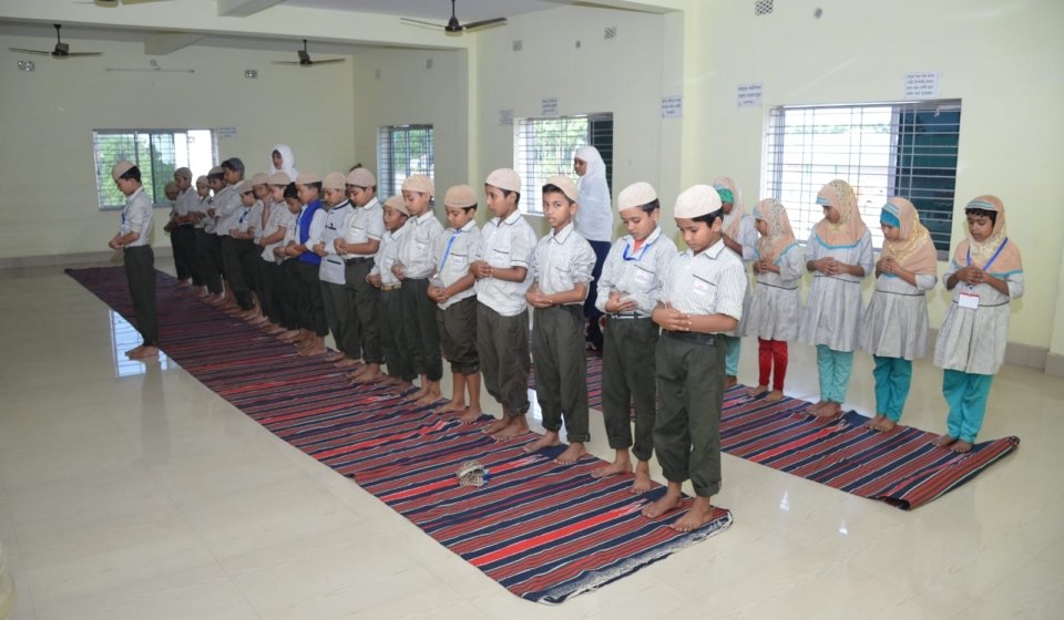 Activity curricular (5)